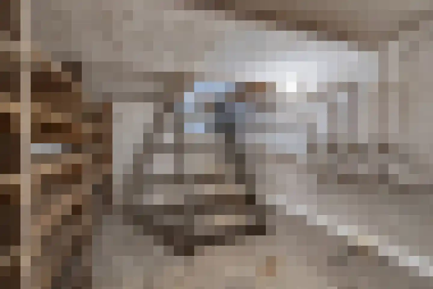 Kramersweide 5 Terborg thumbnail 29
