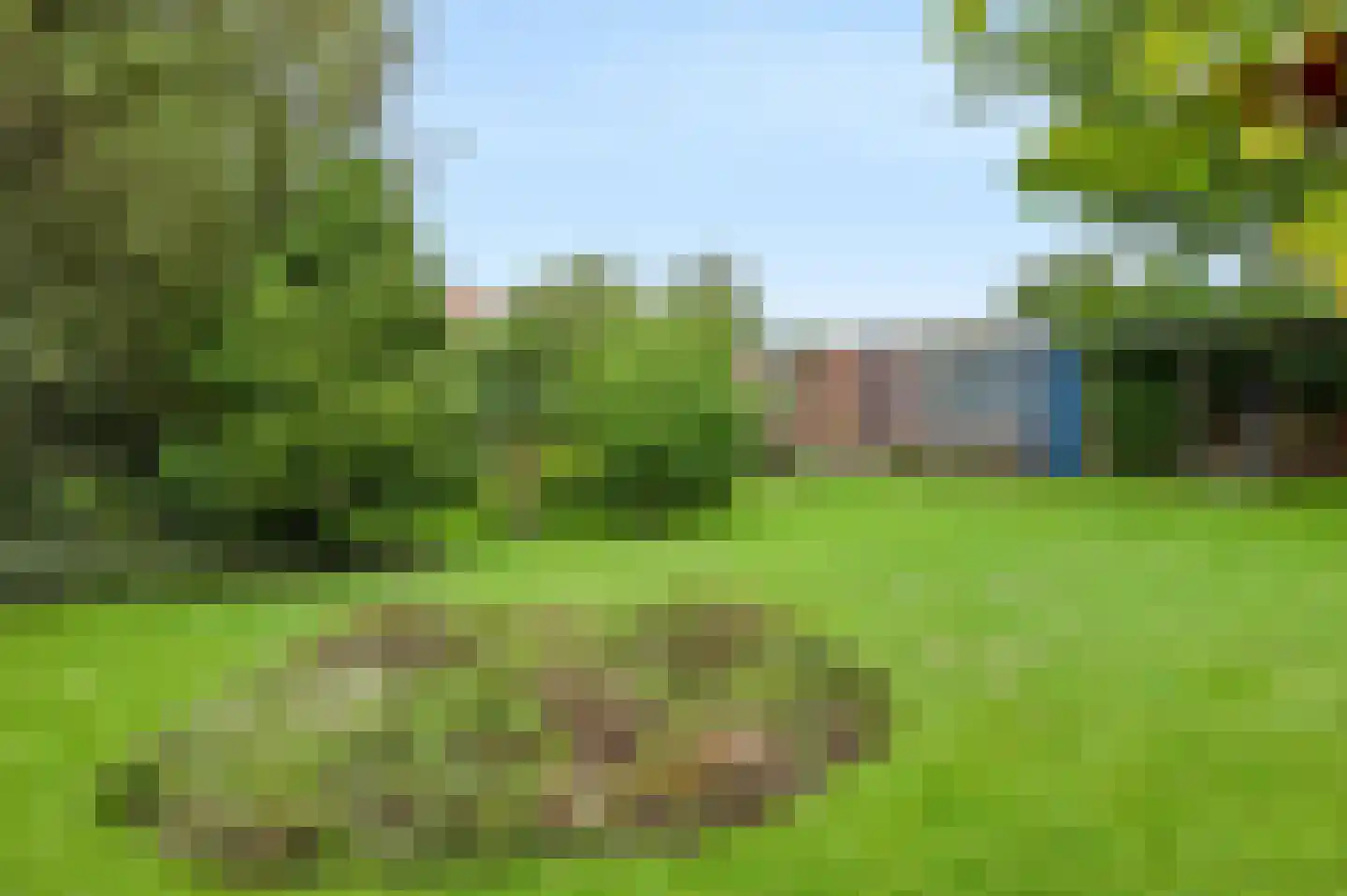 Kramersweide 5 Terborg foto 3