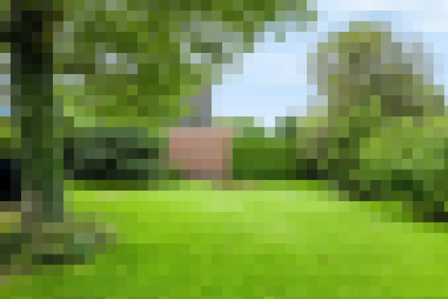 Kramersweide 5 Terborg thumbnail 36
