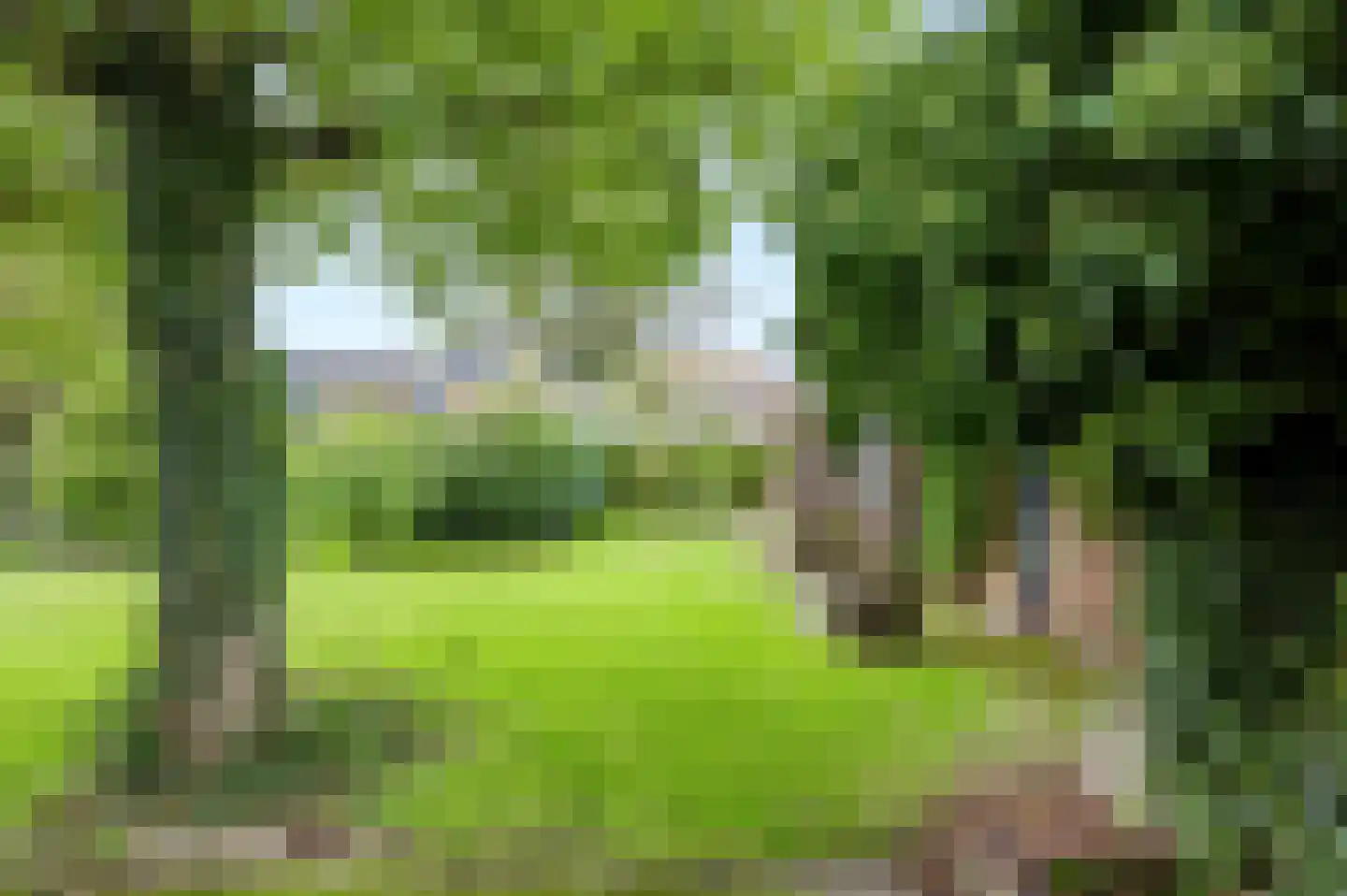 Kramersweide 5 Terborg thumbnail 38