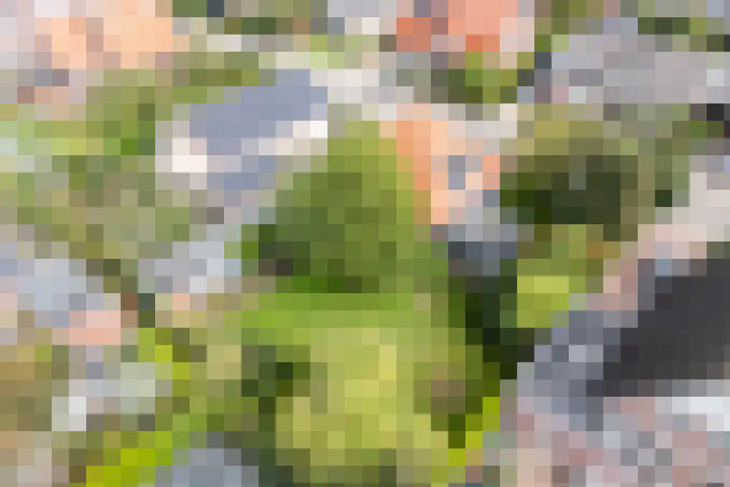 Kramersweide 5 Terborg thumbnail 39