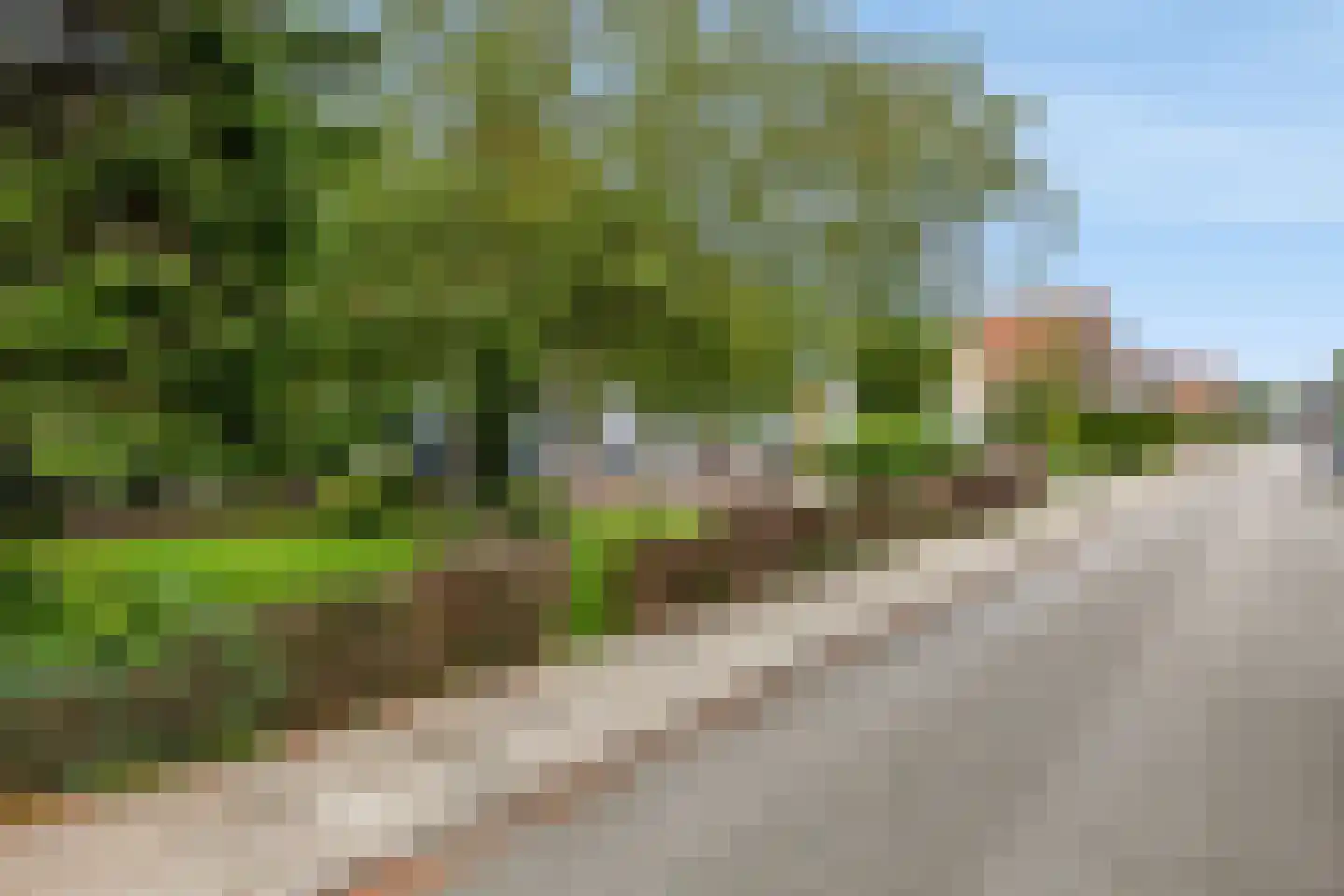 Kramersweide 5 Terborg thumbnail 40