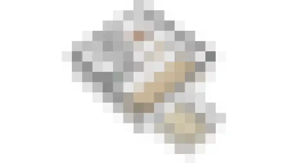 Kramersweide 5 Terborg thumbnail 42