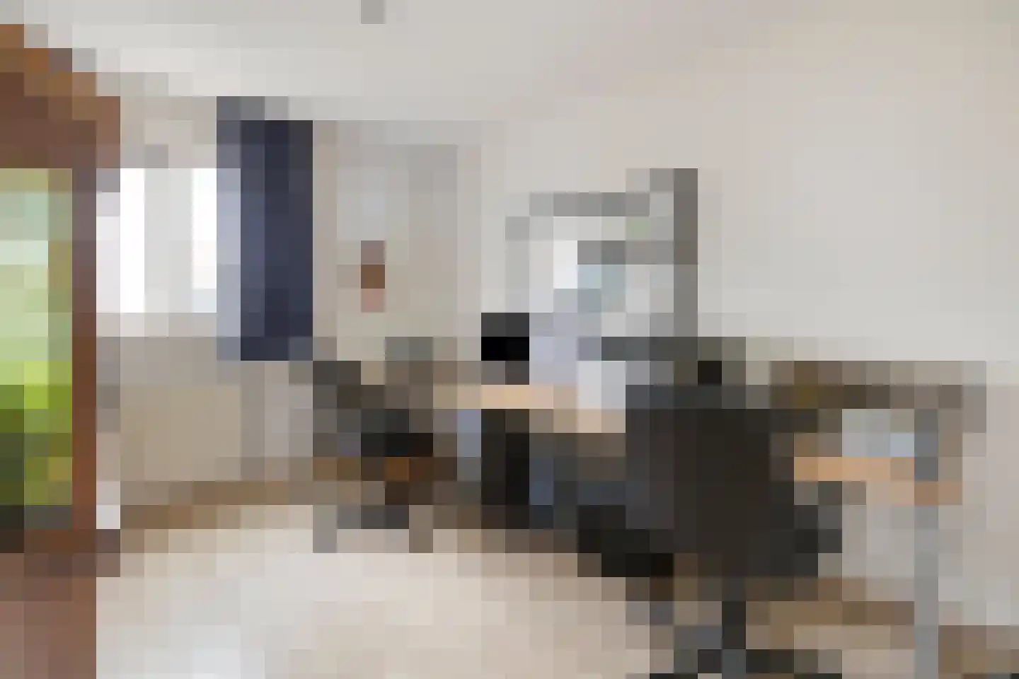 Krammentrekker 22 Kaatsheuvel thumbnail 24