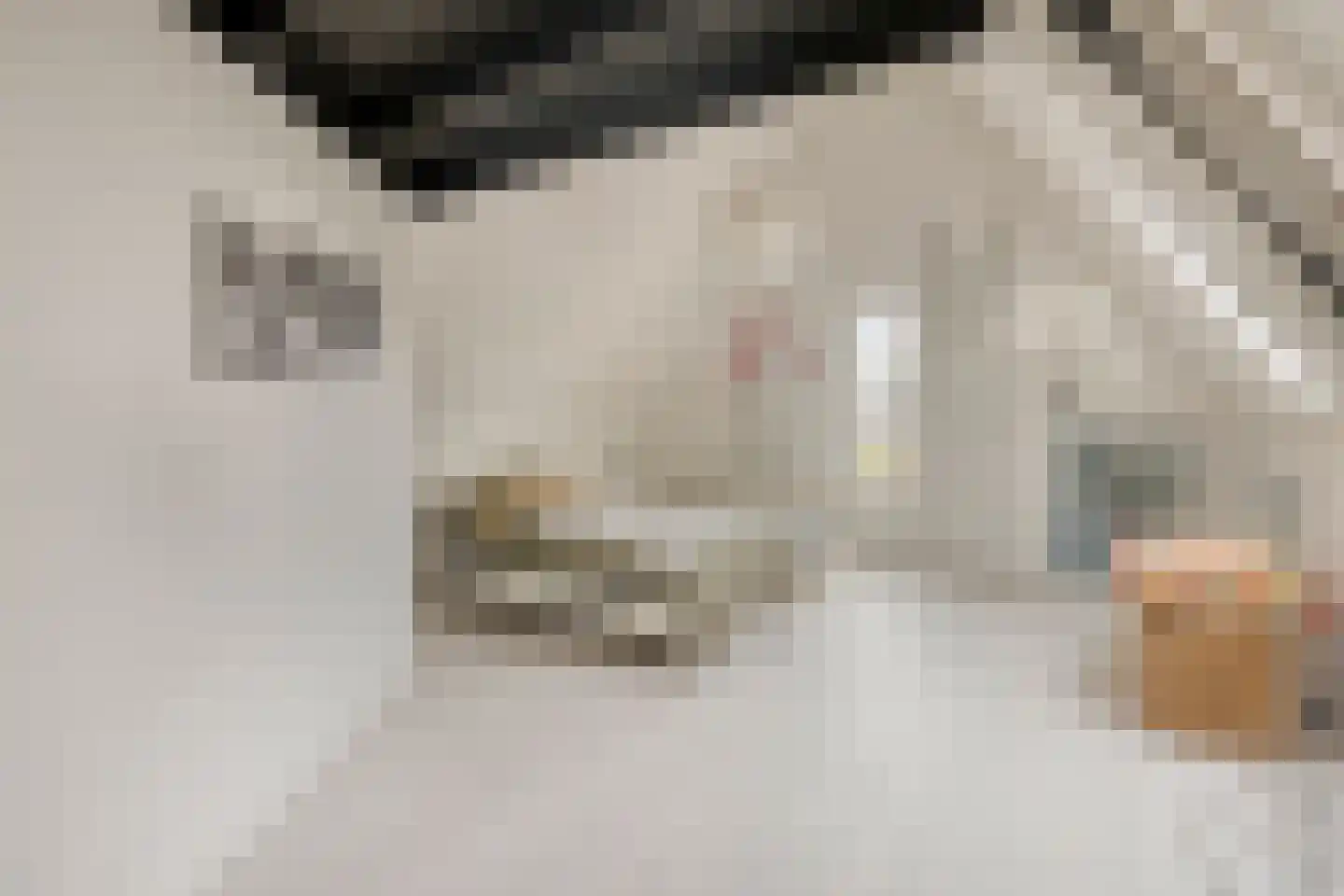 Krammentrekker 22 Kaatsheuvel thumbnail 27