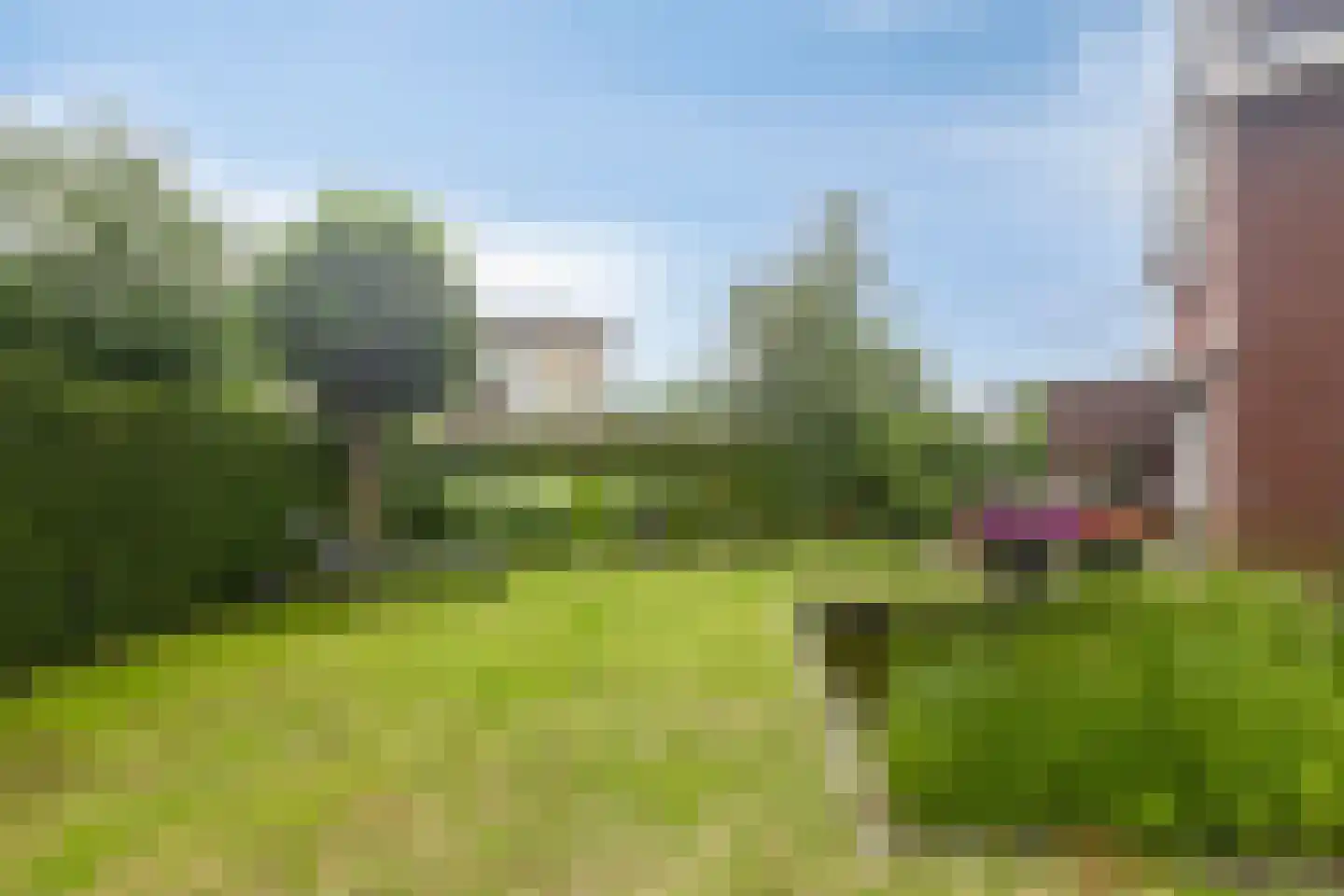 Krammentrekker 22 Kaatsheuvel thumbnail 35