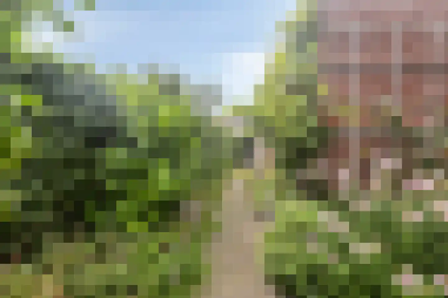 Krammentrekker 22 Kaatsheuvel thumbnail 36