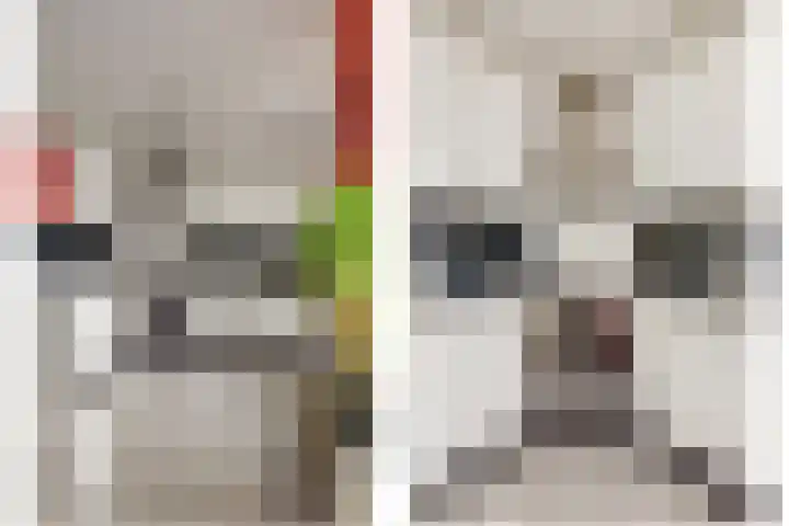 Krammer 14 Hansweert thumbnail 11