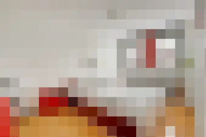 Krammer 14 Hansweert thumbnail 13
