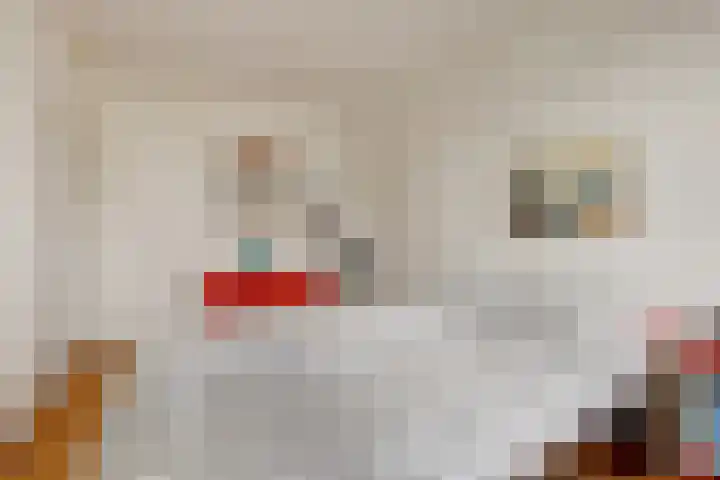 Krammer 14 Hansweert thumbnail 14