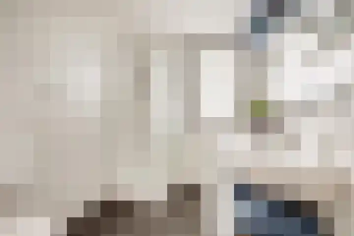 Krammer 14 Hansweert thumbnail 18