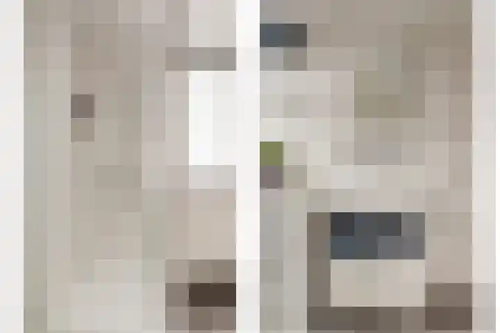 Krammer 14 Hansweert thumbnail 19