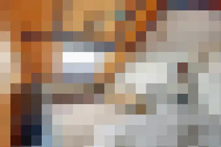 Krammer 14 Hansweert thumbnail 22