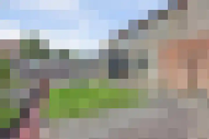 Krammer 14 Hansweert thumbnail 25