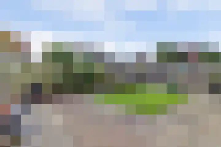Krammer 14 Hansweert thumbnail 26