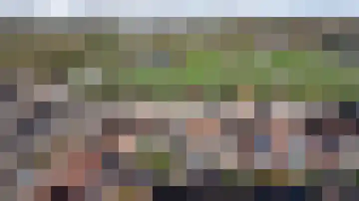Krammer 14 Hansweert thumbnail 27