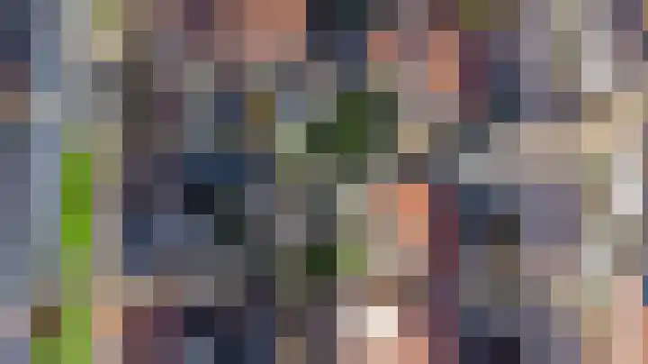 Krammer 14 Hansweert thumbnail 28