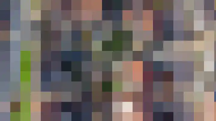 Krammer 14 Hansweert thumbnail 30