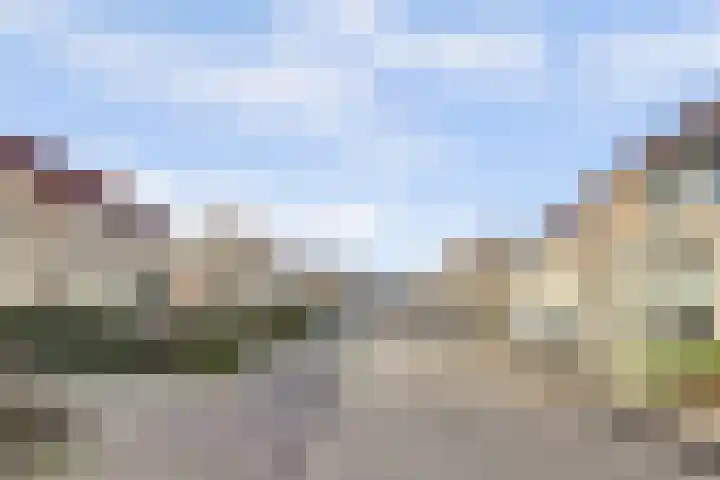 Krammer 14 Hansweert thumbnail 31