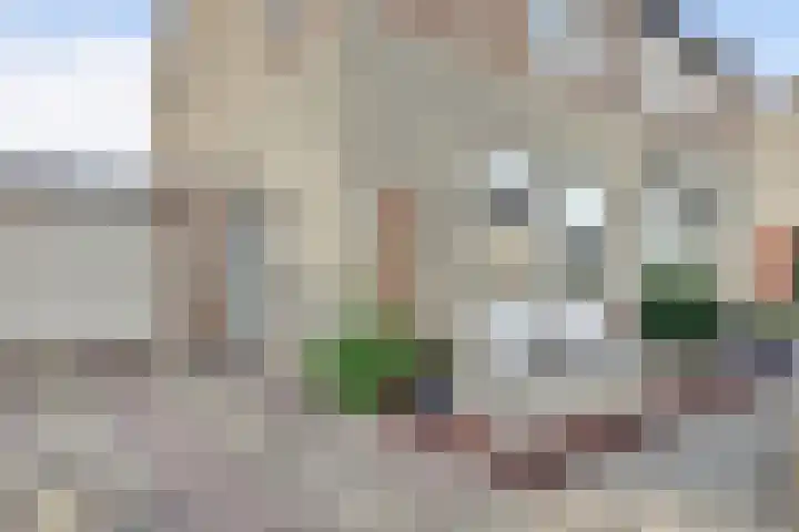 Krammer 14 Hansweert thumbnail 36