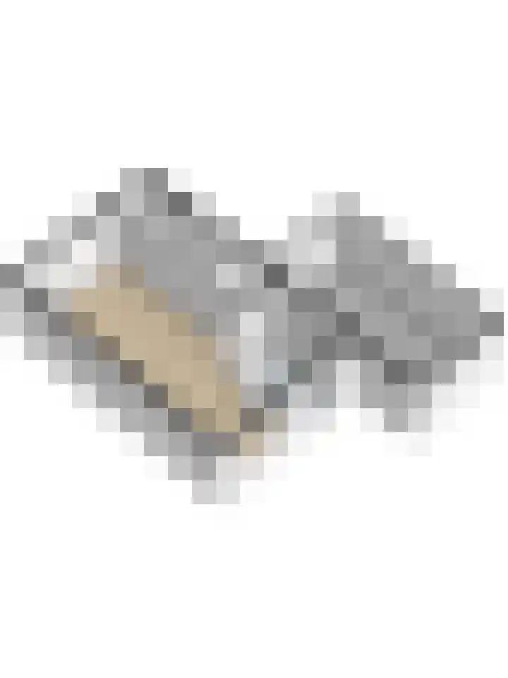 Krammer 14 Hansweert thumbnail 41