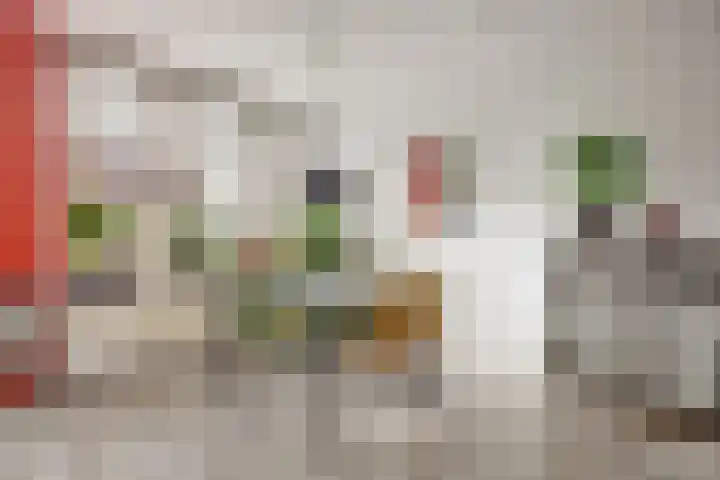 Krammer 14 Hansweert thumbnail 8