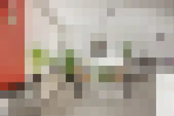 Krammer 14 Hansweert thumbnail 9