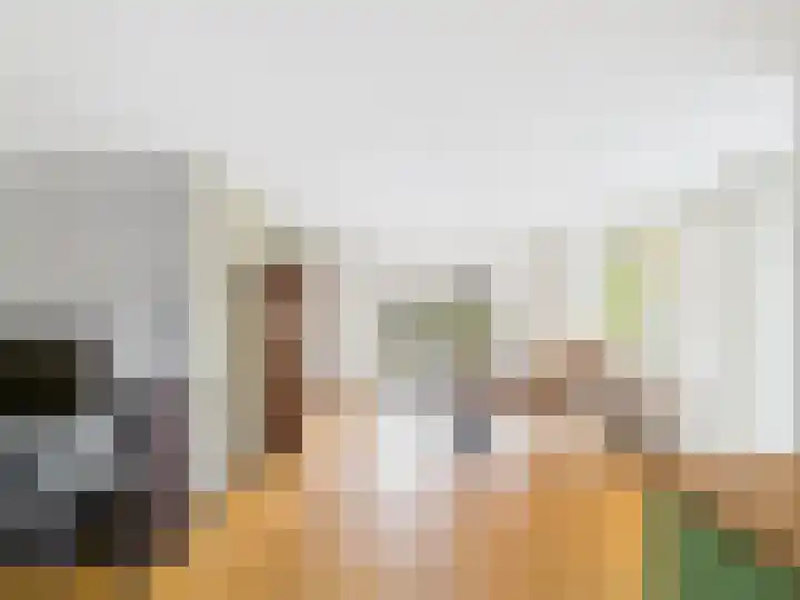 Krammer 2 Terneuzen thumbnail 11