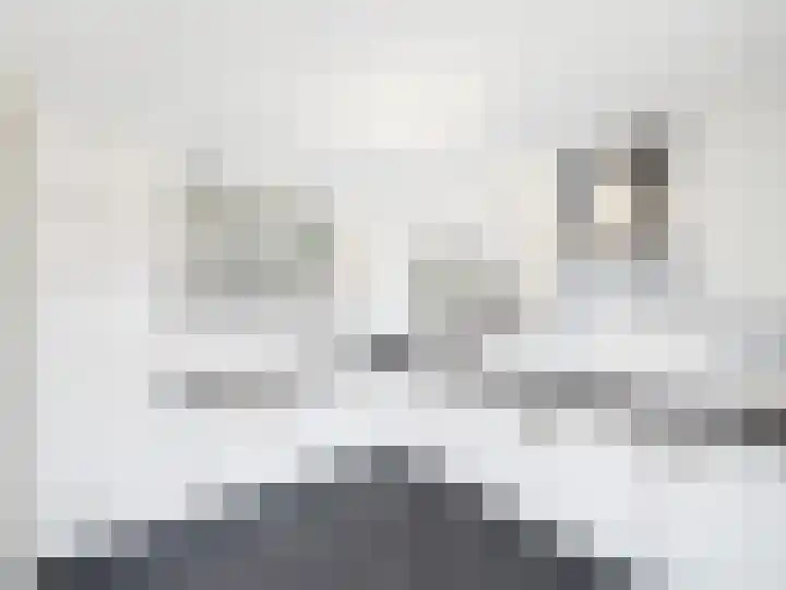 Krammer 2 Terneuzen thumbnail 13