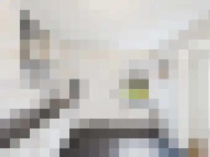 Krammer 2 Terneuzen thumbnail 15