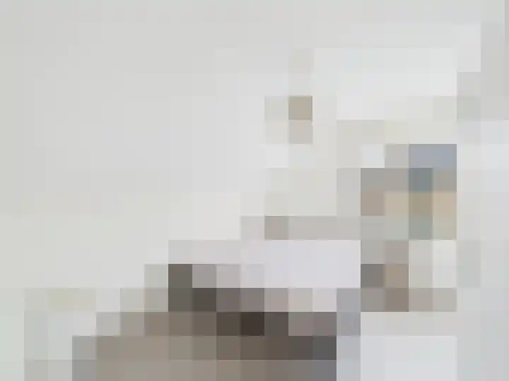 Krammer 2 Terneuzen thumbnail 19