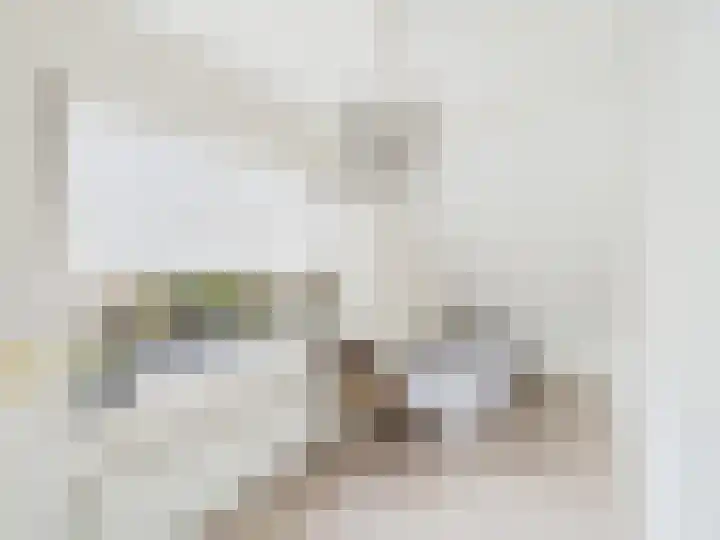 Krammer 2 Terneuzen thumbnail 22