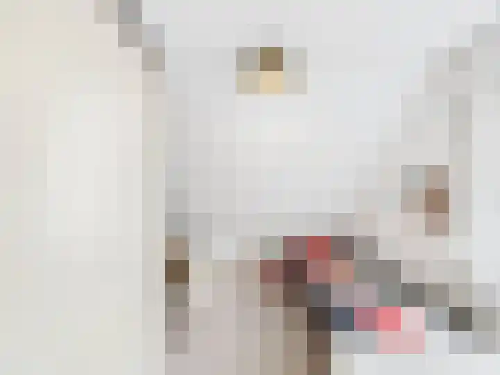 Krammer 2 Terneuzen thumbnail 24