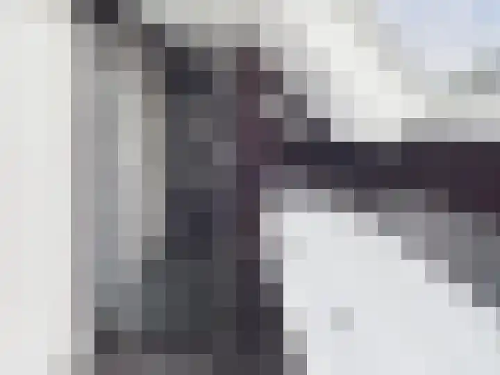 Krammer 2 Terneuzen thumbnail 27
