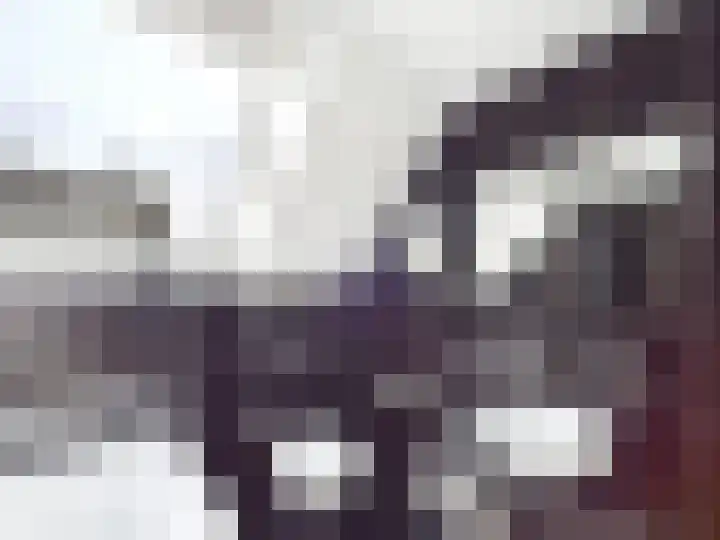 Krammer 2 Terneuzen thumbnail 28
