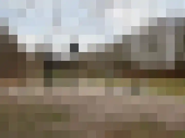 Krammer 2 Terneuzen thumbnail 44