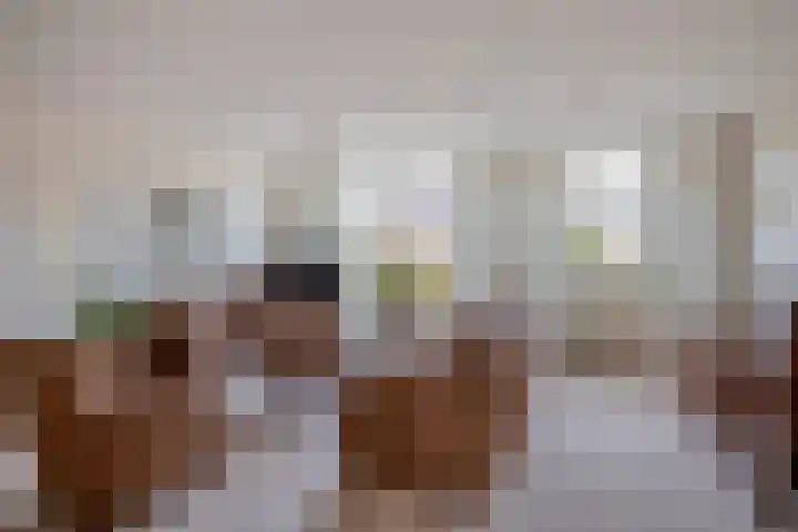 Krammer 32 h Brielle thumbnail 12