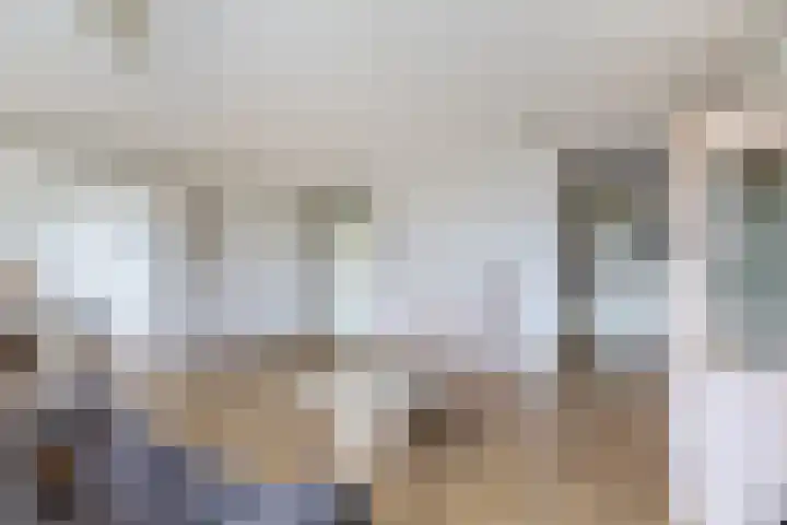 Krammer 32 h Brielle thumbnail 13