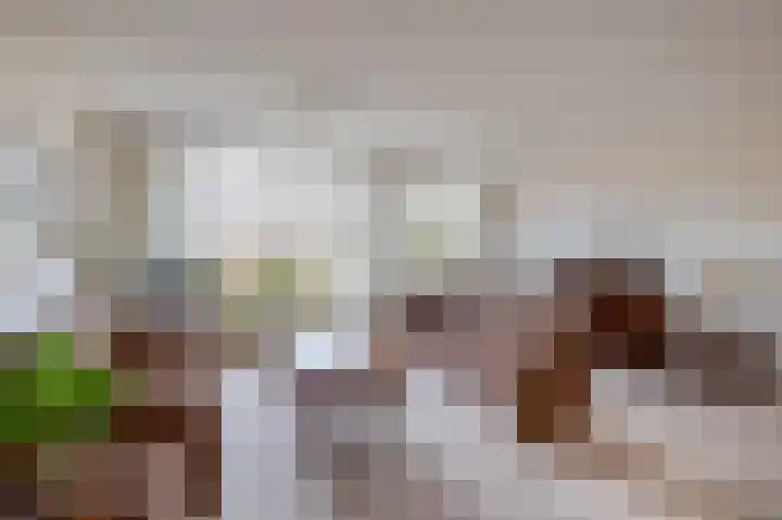 Krammer 32 h Brielle thumbnail 13