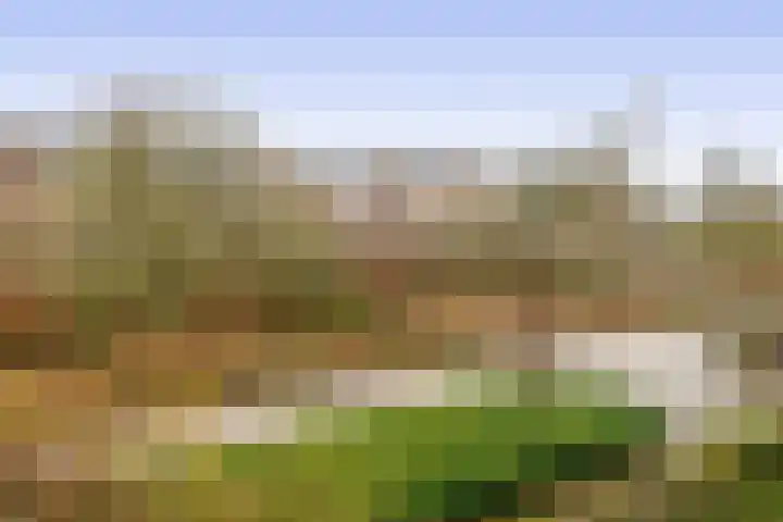 Krammer 32 h Brielle thumbnail 22