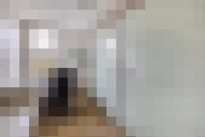 Krammer 32 h Brielle thumbnail 25