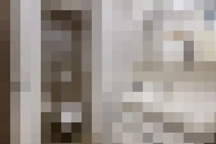 Krammer 32 h Brielle thumbnail 27