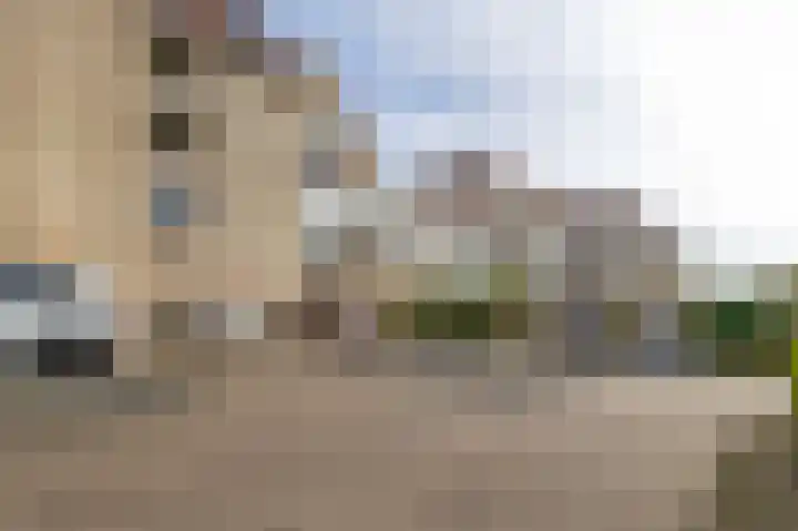 Krammer 32 h Brielle thumbnail 37