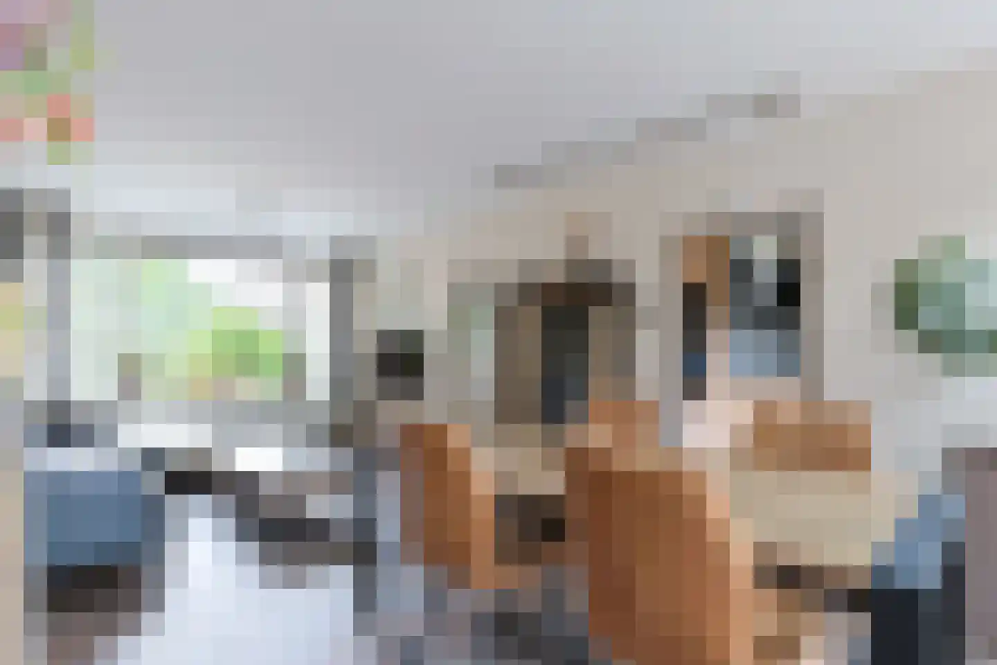Krammer 34 Alphen aan den Rijn thumbnail 13