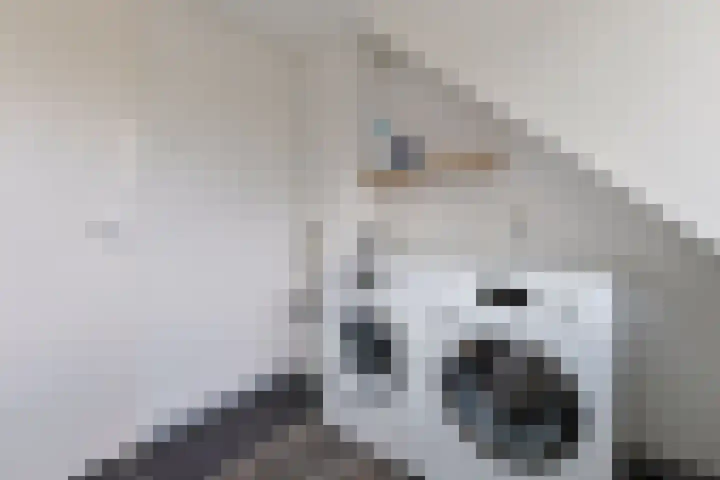 Krammer 34 Alphen aan den Rijn thumbnail 40