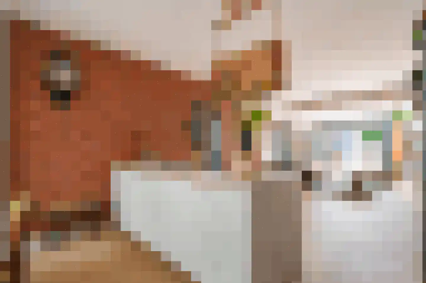 Krammer 39 Alphen aan den Rijn thumbnail 13