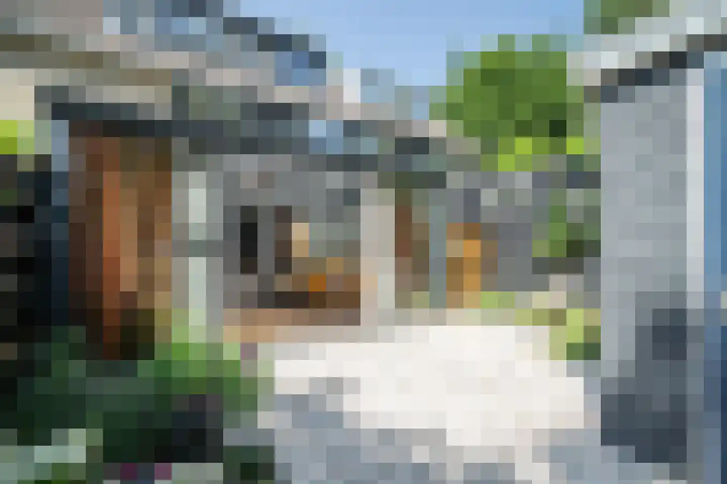 Krammer 39 Alphen aan den Rijn thumbnail 22