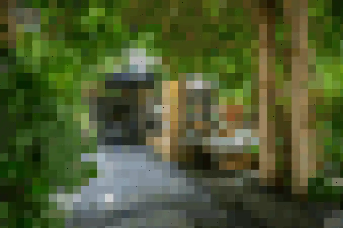Krammer 39 Alphen aan den Rijn thumbnail 6