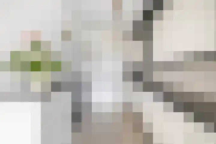 Krammer 40 h Brielle thumbnail 15