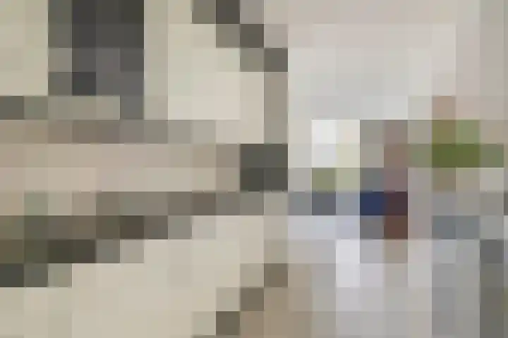 Krammer 40 h Brielle thumbnail 17
